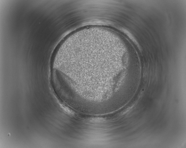 X0000068720837200605192251