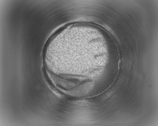 X0000068720838200605192251