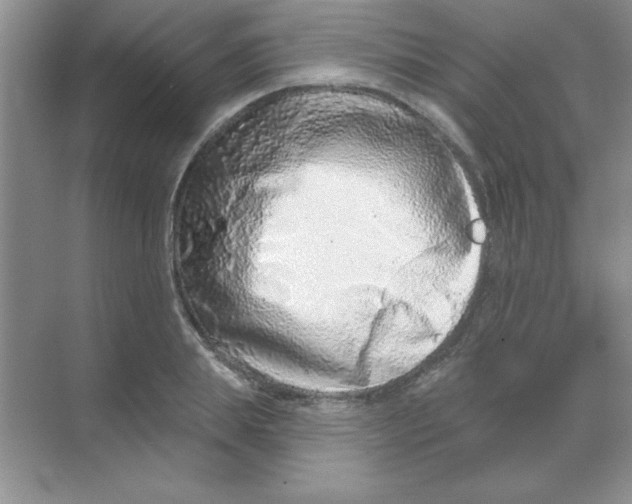 X0000068720839200605192251