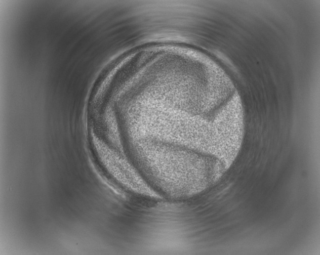 X0000068720840200605192251