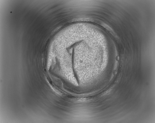 X0000068720841200605192251