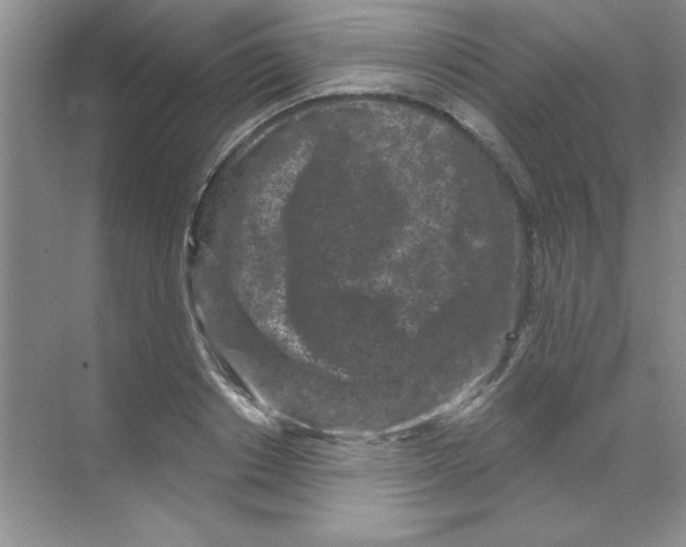 X0000068720842200605192251