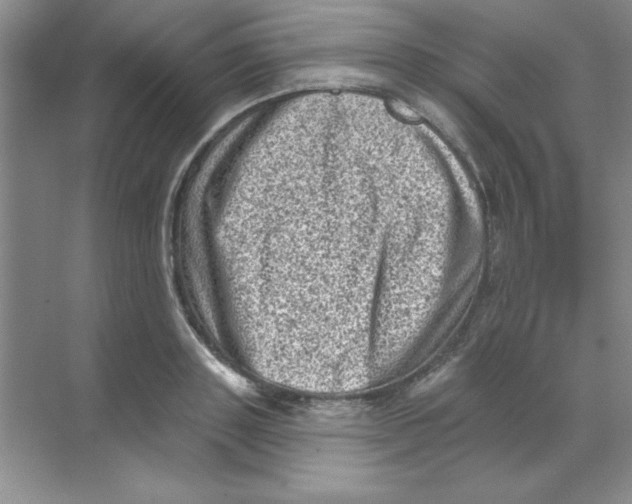 X0000068720843200605192251