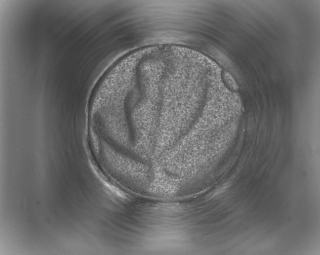 X0000068720844200605192251