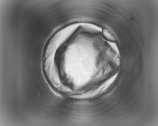 X0000068720845200605192251