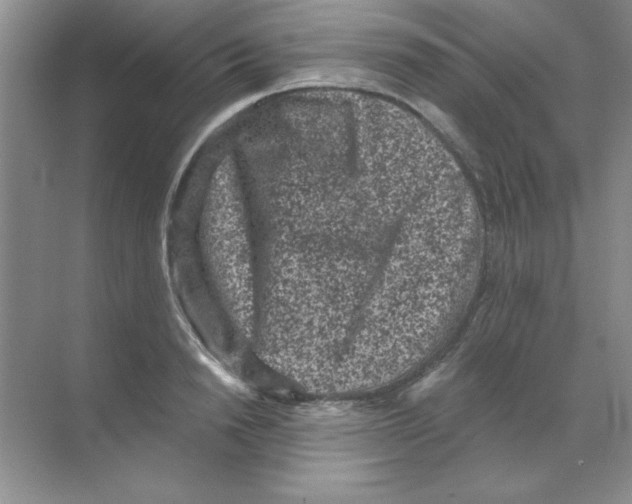 X0000068720846200605192251