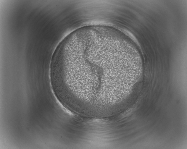 X0000068720847200605192251