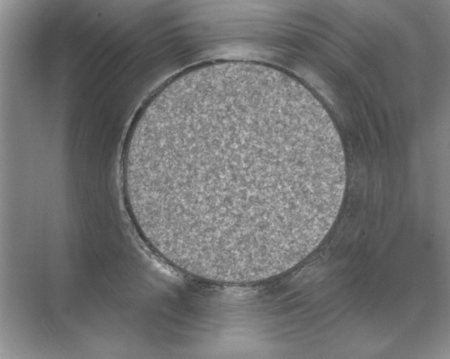 X0000068720848200605192251