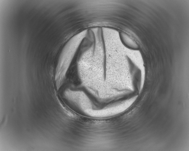 X0000068720849200605192251