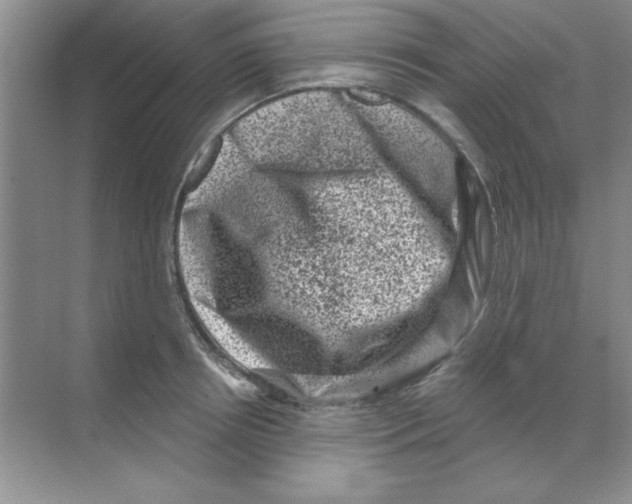 X0000068720850200605192251