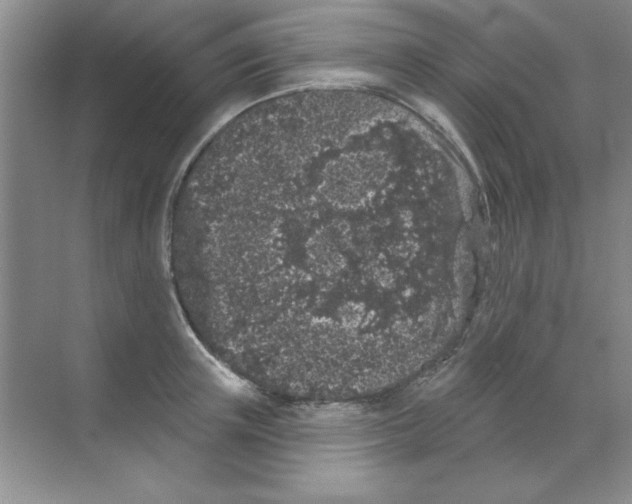 X0000068720851200605192251