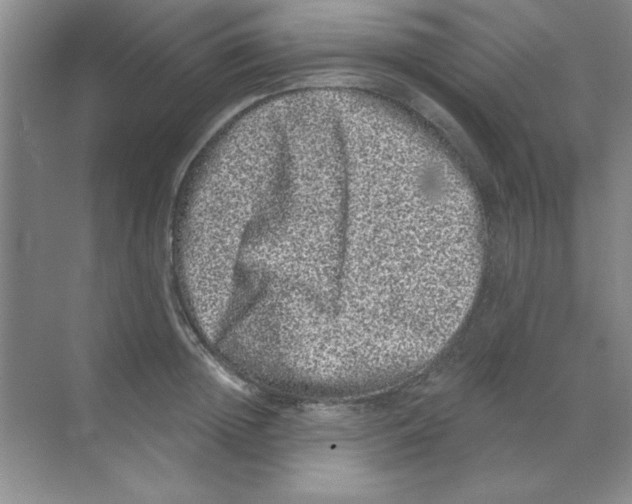 X0000068720852200605192251