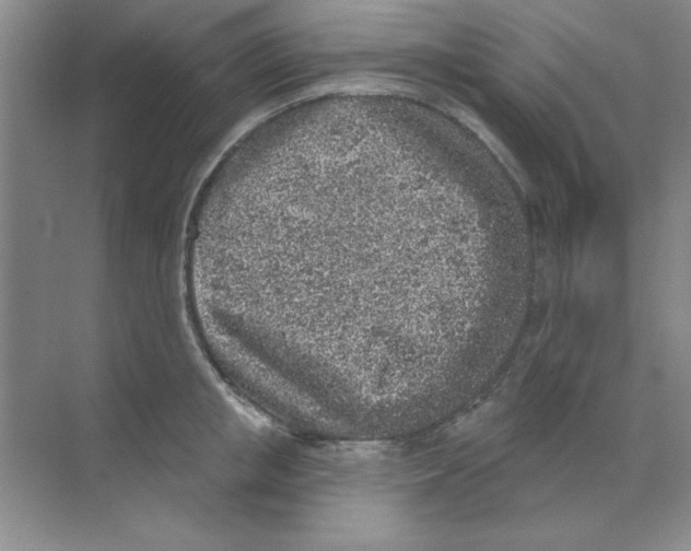 X0000068720853200605192251