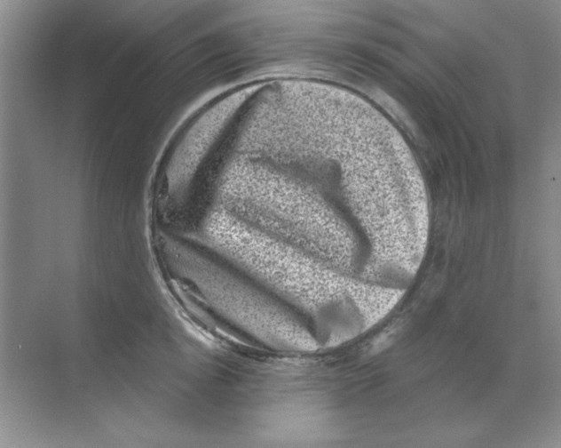 X0000068720854200605192251