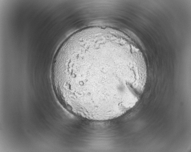 X0000068720855200605192251