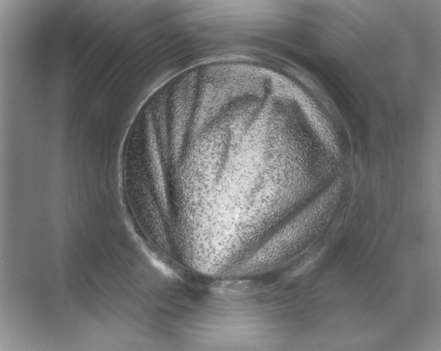 X0000068720858200605192251