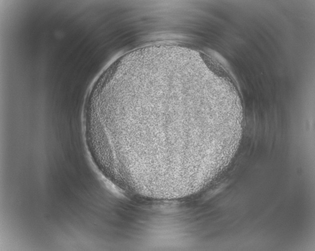 X0000068720859200605192251