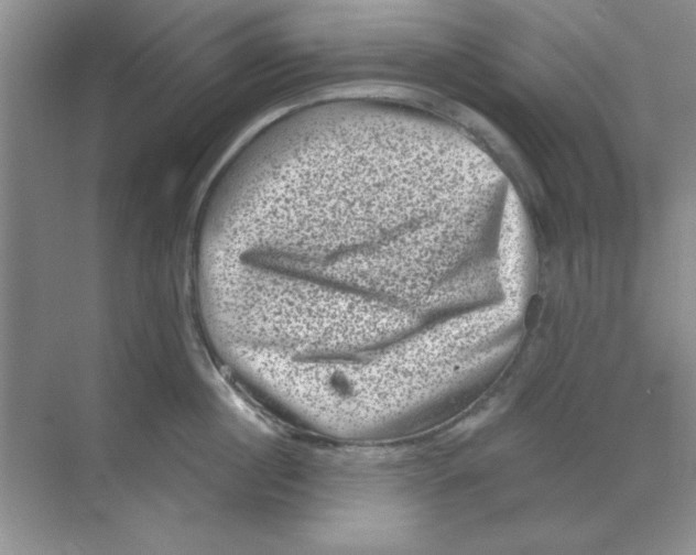 X0000068720860200605192251