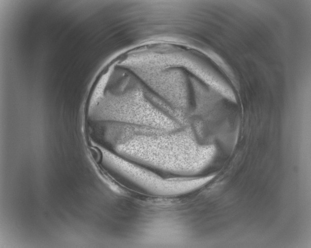 X0000068720862200605192251