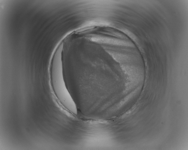 X0000068720864200605192251