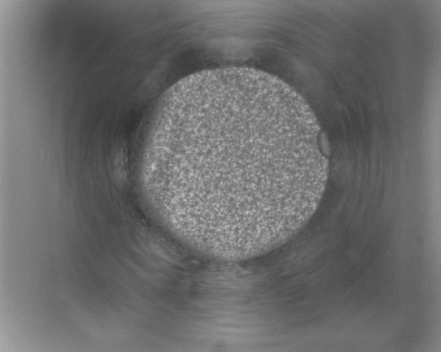 X0000068720866200605192251