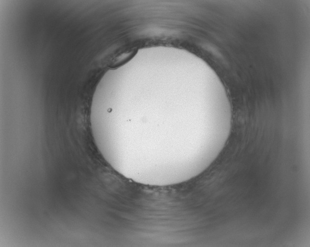 X0000068720869200605192251