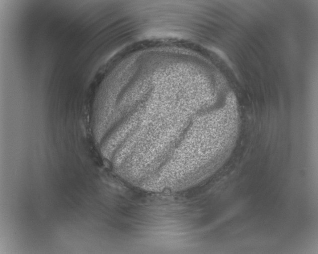 X0000068720871200605192251