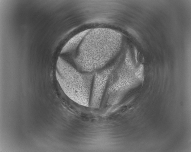 X0000068720872200605192251