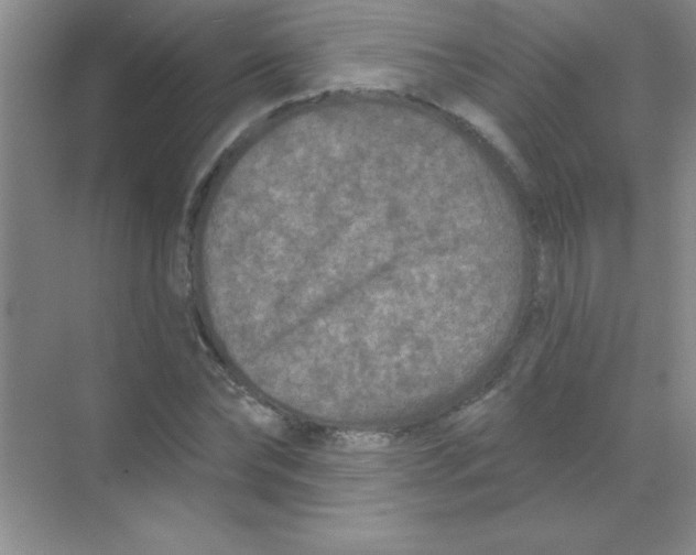 X0000068720878200605192250