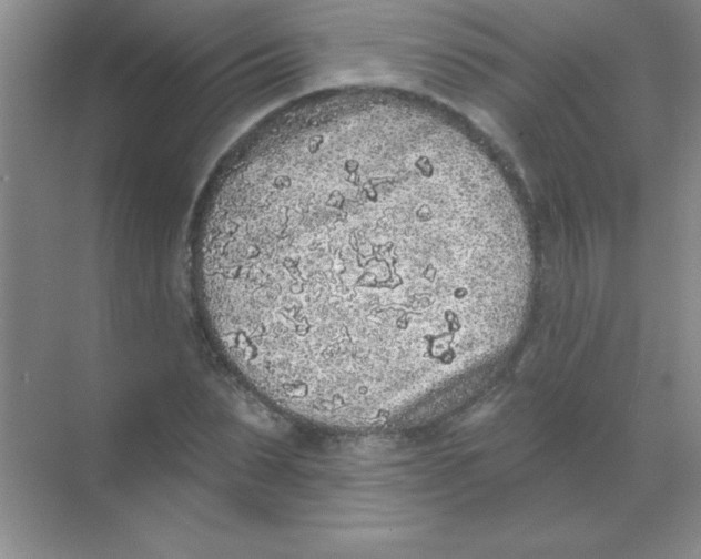 X0000068720879200605192250