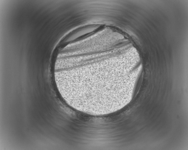 X0000068720880200605192250