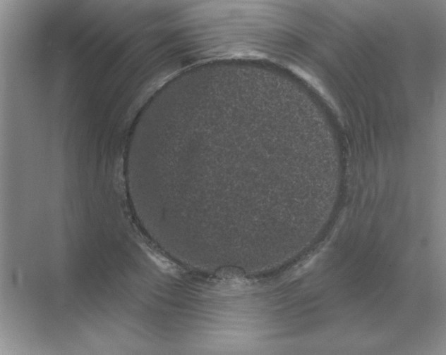 X0000068720881200605192250