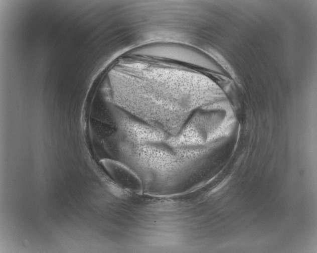 X0000068720885200605192250