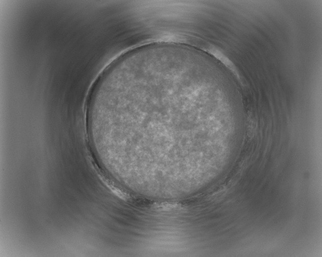 X0000068720886200605192250