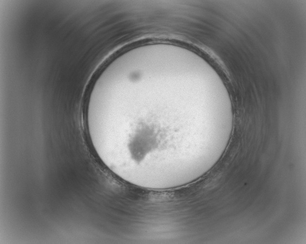 X0000068720887200605192250