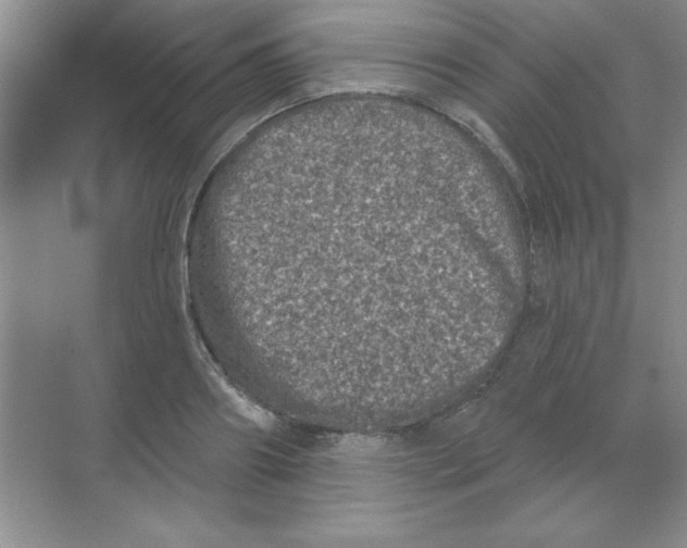 X0000068720890200605192250