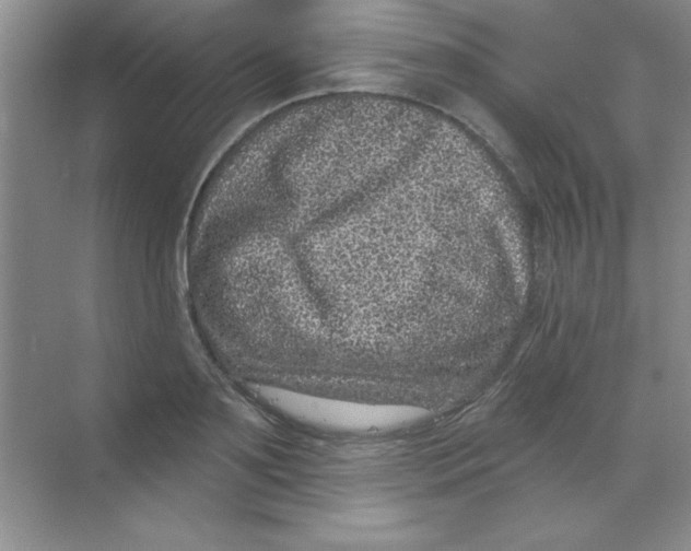 X0000068720891200605192250