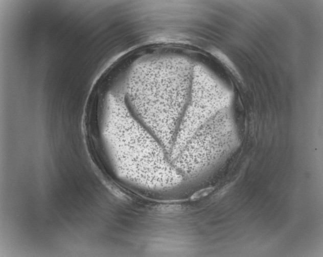 X0000068720893200605192250