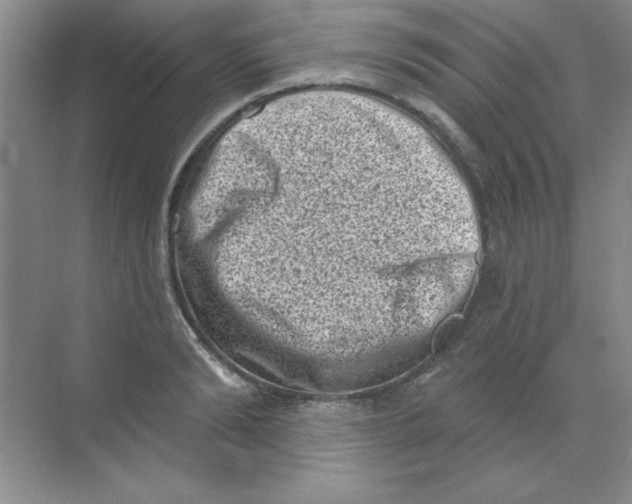 X0000068720894200605192250