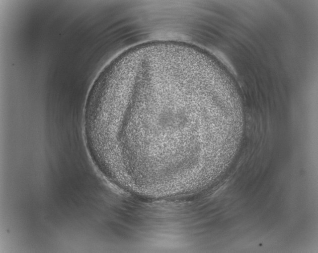 X0000068720895200605192250