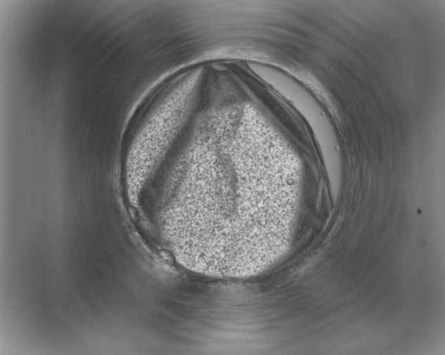 X0000068720896200605192250