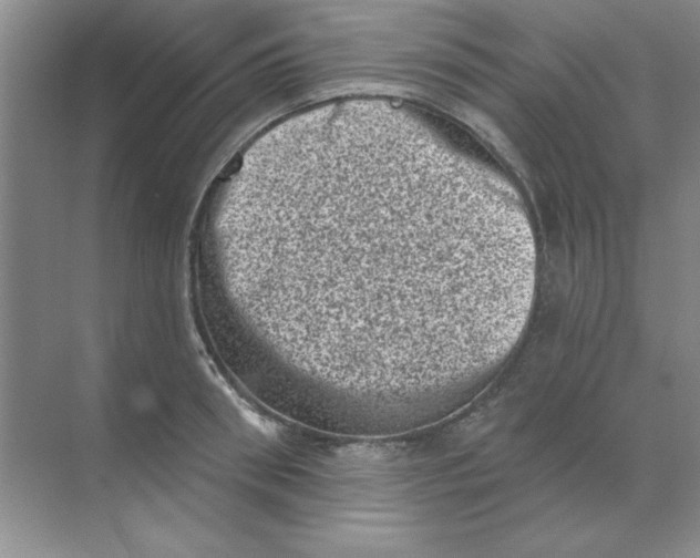 X0000068720898200605192250