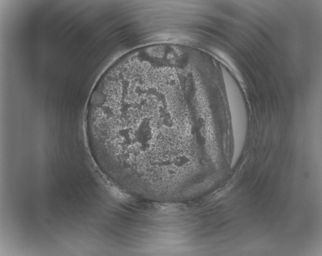 X0000068720899200605192250