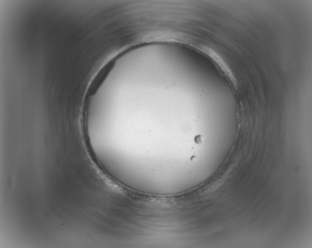 X0000068720901200605192250