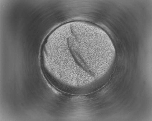 X0000068720902200605192250