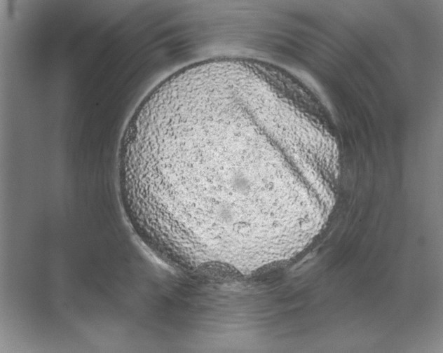 X0000068720903200605192250