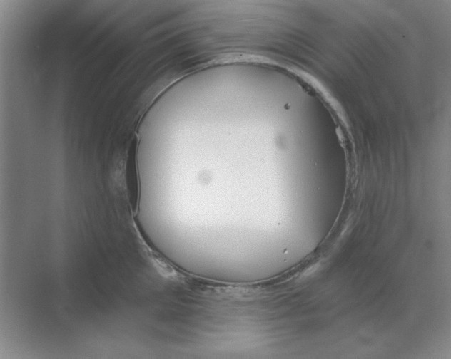 X0000068720905200605192250