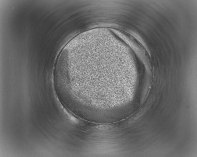 X0000068720906200605192250