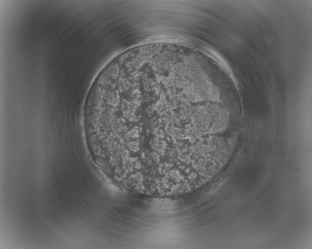 X0000068720907200605192250