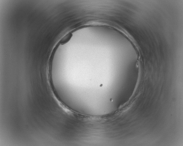 X0000068720909200605192250